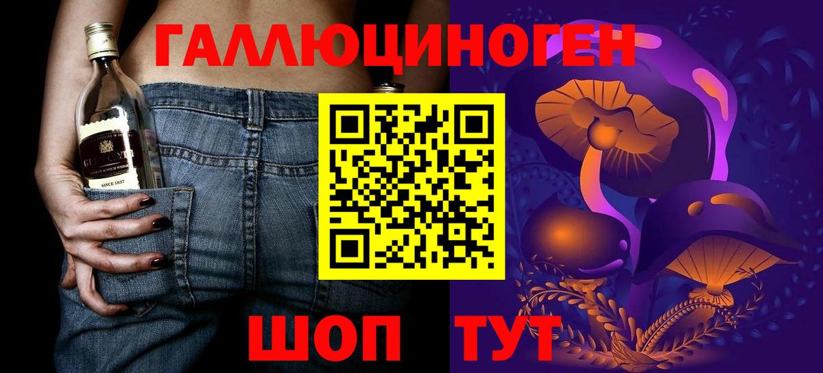 Псилоцибиновые грибы Psilocybe Железноводск