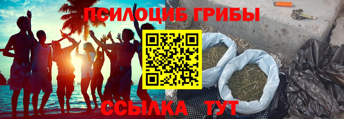 купить  цена  Галлюциногенные грибы прущие грибы  Вход с VPN  Железноводск  Псилоцибиновые грибы ЛСД 